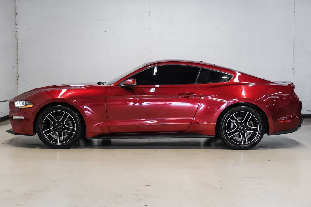 Used 2019 Ford Mustang Coupe RWD image 15