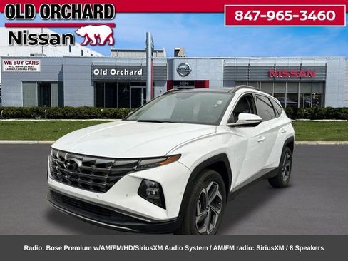 Used 2023 Hyundai Tucson Limited AWD/4WD image 1