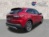 Used 2022 Ford Escape SEL image 4