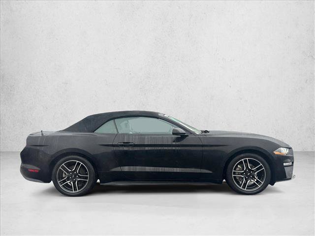 Used 2023 Ford Mustang Premium RWD image 4
