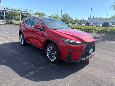 Used 2025 Lexus NX 350h AWD w/ Luxury Package image 16