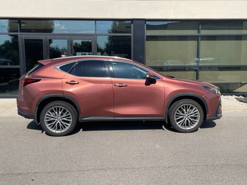 Used 2025 Lexus NX 350h AWD w/ Accessory Package (2T) image 5