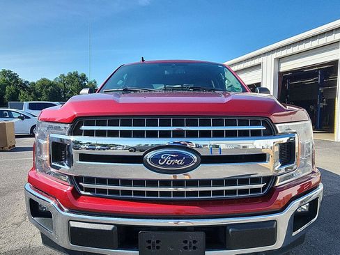 Used 2019 Ford F150 XLT w/ Equipment Group 302A Luxury AWD/4WD image 11
