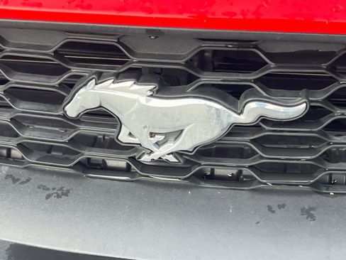 Used 2021 Ford Mustang EcoBoost image 10