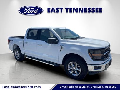 Used 2025 Ford F150 XLT w/ Equipment Group 301A Standard