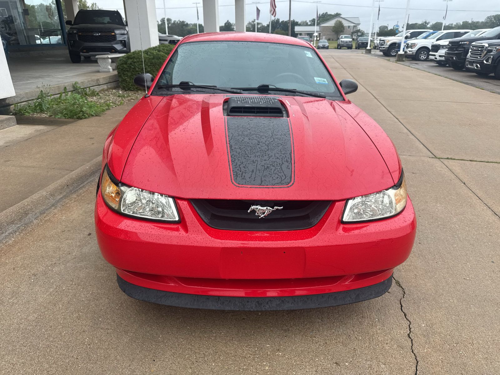 Used 2004 Ford Mustang Mach 1 RWD image 3