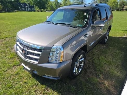 Used 2013 Cadillac Escalade Platinum AWD/4WD image 1