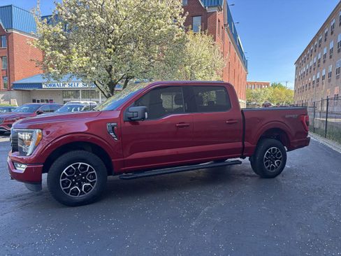 Used 2022 Ford F150 XLT w/ Equipment Group 302A High AWD/4WD image 3