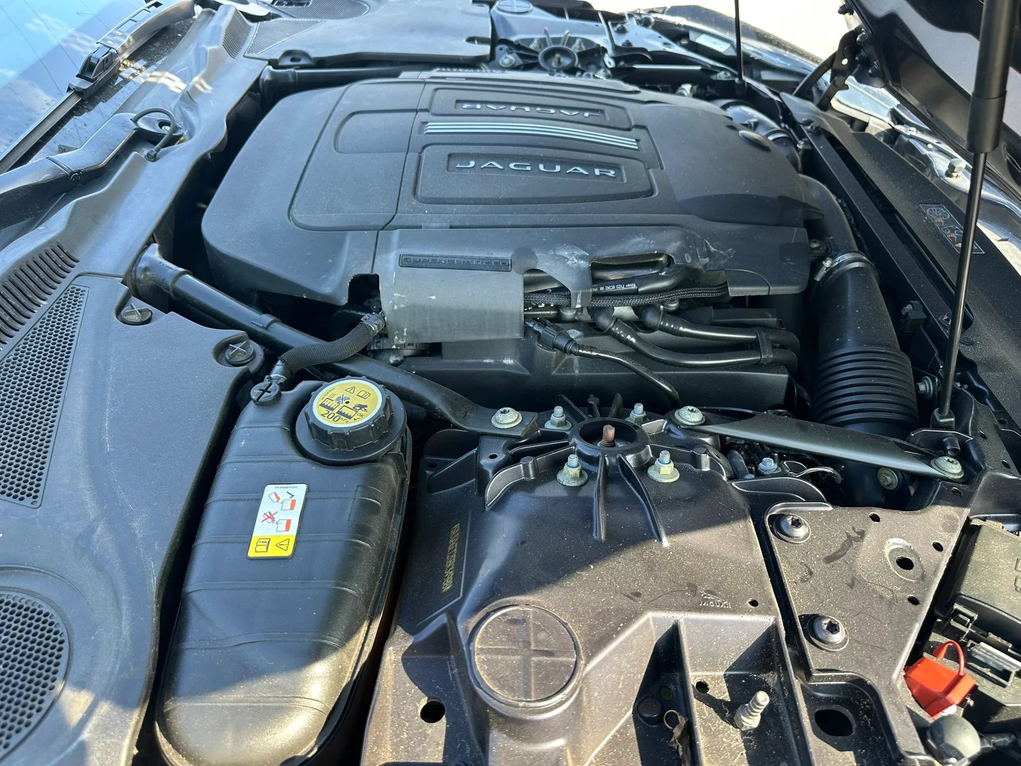 Used 2016 Jaguar F-TYPE Convertible RWD image 24