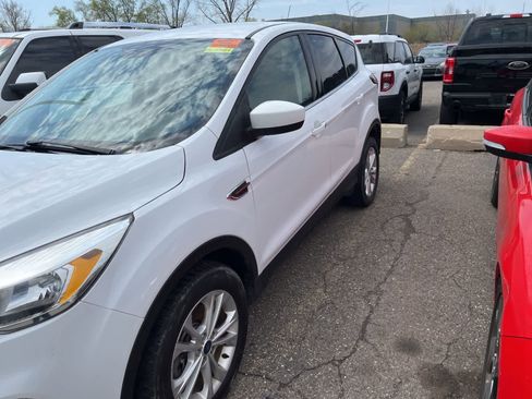 Used 2019 Ford Escape SE AWD/4WD image 5