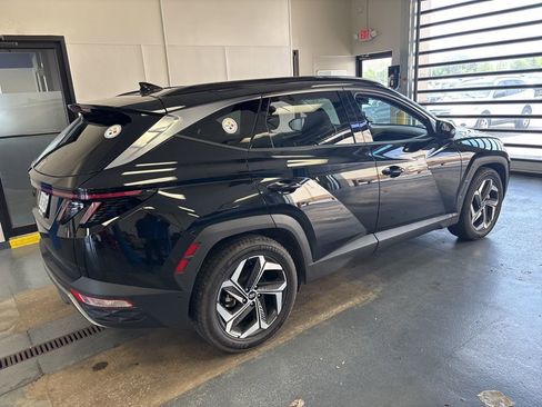Used 2024 Hyundai Tucson Limited image 5