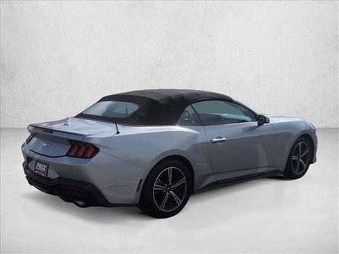 Used 2024 Ford Mustang Premium image 5