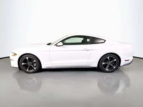 Used 2019 Ford Mustang Coupe RWD image 6