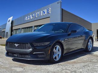 New 2026 Ford Mustang Ecoboost video 1