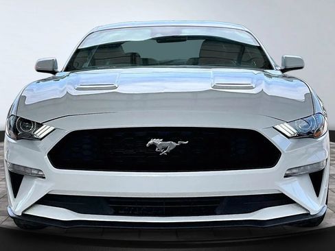 Used 2022 Ford Mustang Coupe RWD image 2