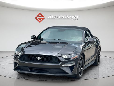 Used 2022 Ford Mustang Premium RWD image 1