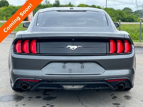 Used 2019 Ford Mustang Coupe RWD image 3