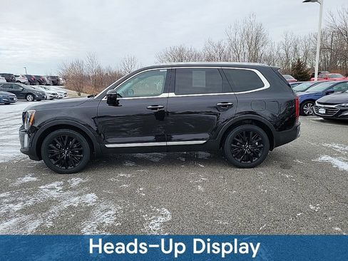 Used 2021 Kia Telluride SX w/ SX Prestige Package image 4