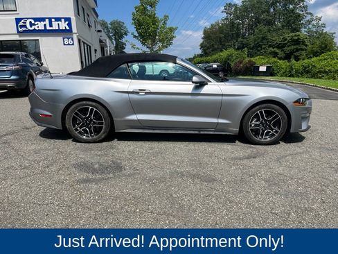 Used 2021 Ford Mustang Premium RWD image 8
