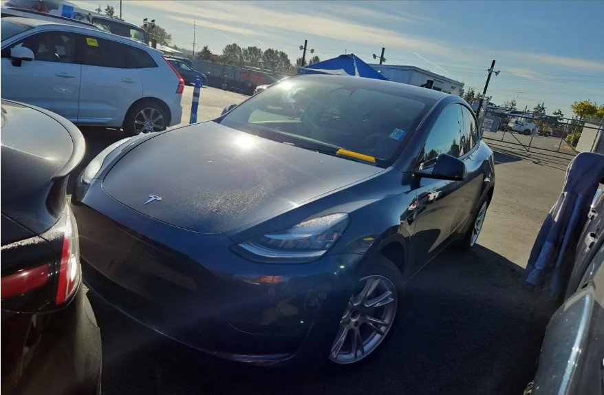 Used 2020 Tesla Model Y Long Range AWD/4WD image 1