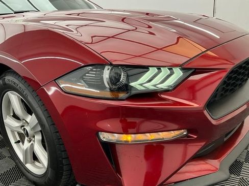 Used 2019 Ford Mustang Coupe RWD image 26