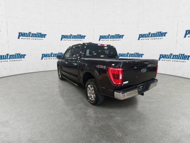 Used 2021 Ford F150 XLT w/ Equipment Group 302A High AWD/4WD image 10