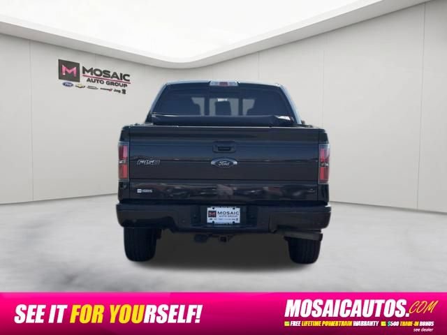 Used 2014 Ford F150 FX4 w/ Equipment Group 402A Luxury AWD/4WD image 6