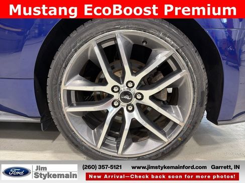 Used 2015 Ford Mustang Premium w/ Equipment Group 201A RWD image 5