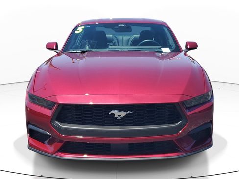 Used 2025 Ford Mustang Premium RWD image 2