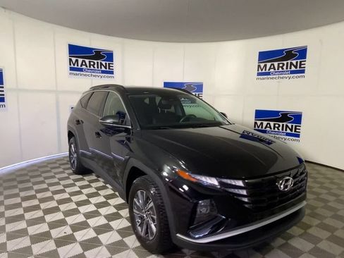 Used 2022 Hyundai Tucson Blue AWD/4WD image 4