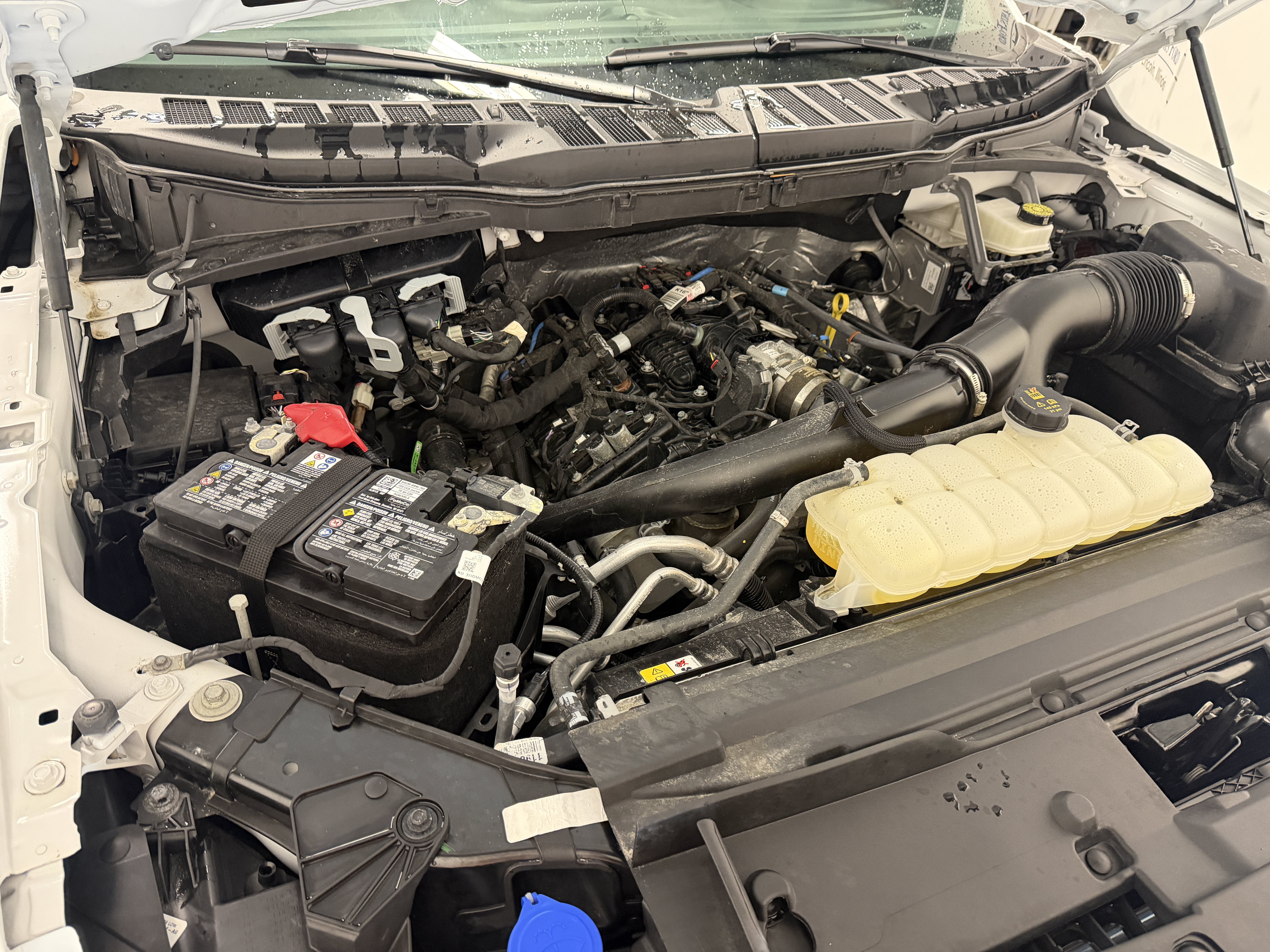 Used 2025 Ford F150 STX w/ Equipment Group 201A FX4 AWD/4WD image 28