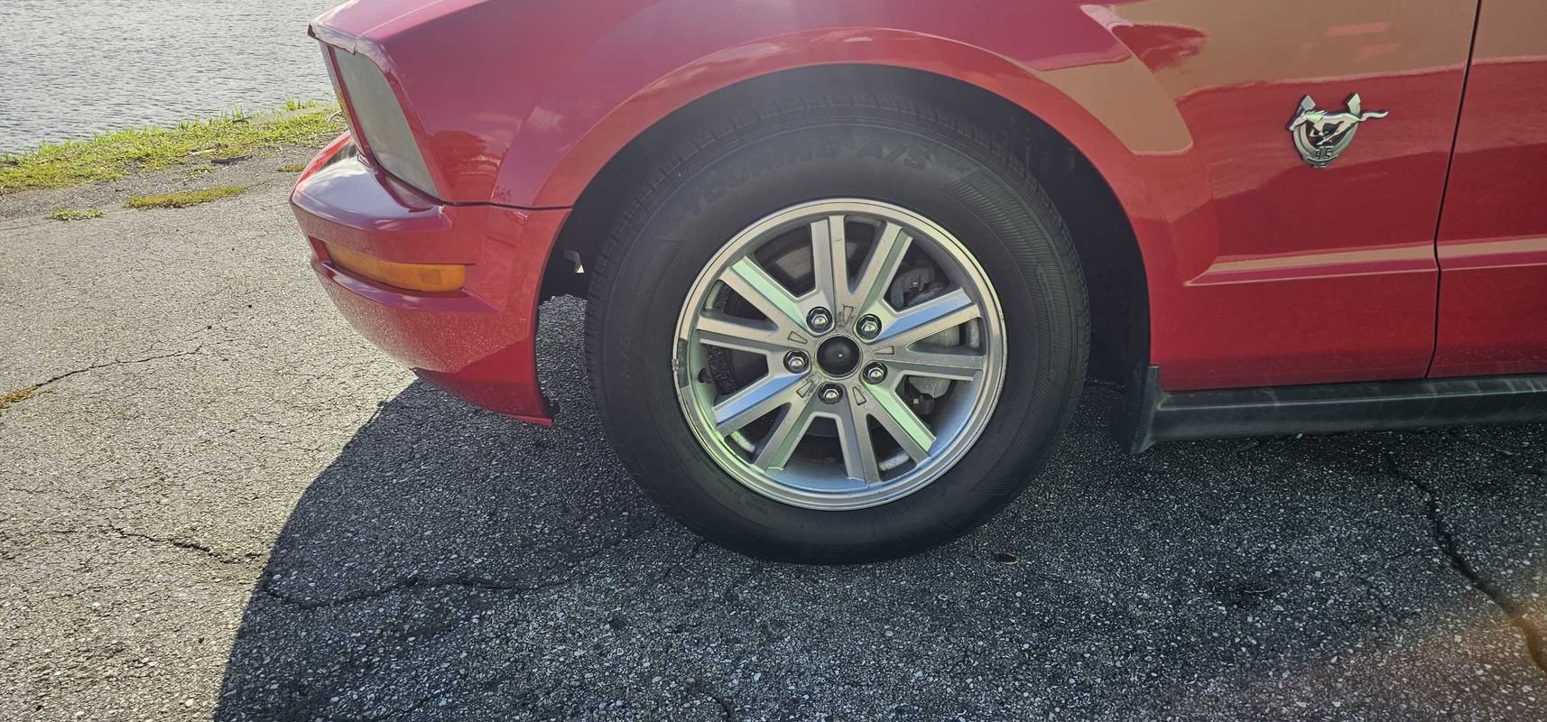Used 2009 Ford Mustang Premium RWD image 12