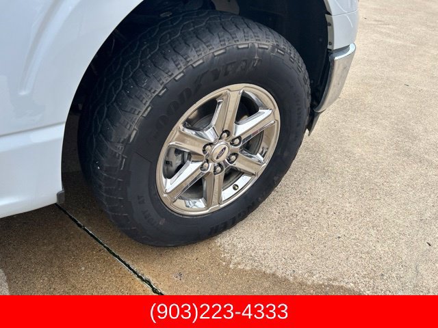 Used 2025 Ford F150 XLT w/ Equipment Group 301A Standard AWD/4WD image 12