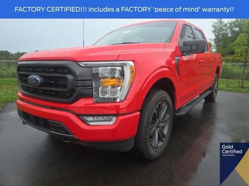 Used 2023 Ford F150 XLT w/ Equipment Group 302A High AWD/4WD image 2