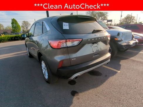 Used 2022 Ford Escape SE w/ Convenience Package image 4