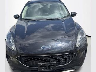 Used 2020 Ford Escape SE AWD/4WD video 1