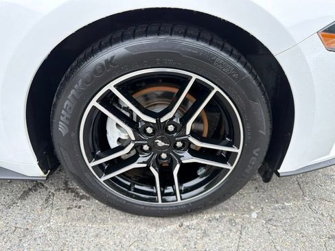 Used 2019 Ford Mustang EcoBoost Premium Coupe 2D w/ Equipment Group 101A RWD image 9