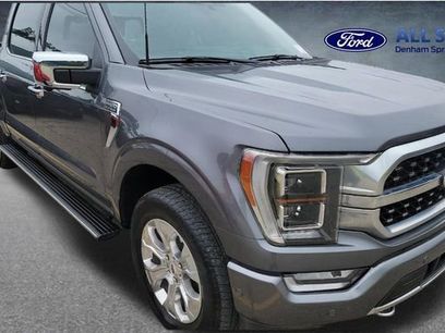 Used 2023 Ford F150 Platinum w/ Equipment Group 701A High