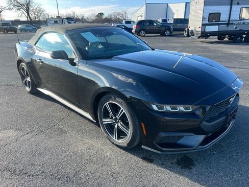 Used 2024 Ford Mustang Premium RWD image 3