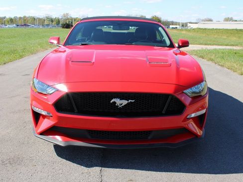 Used 2019 Ford Mustang GT Premium w/ Equipment Group 401A image 2