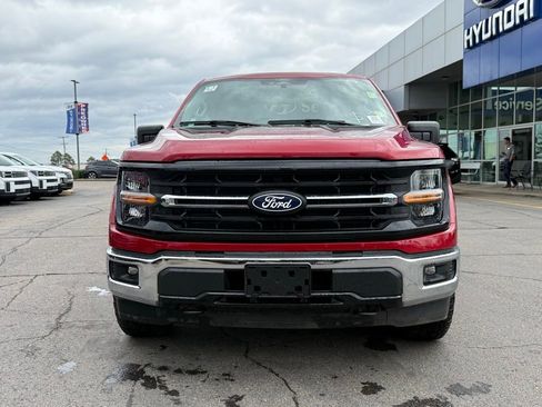 Used 2025 Ford F150 XLT w/ Equipment Group 301A Standard image 2