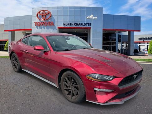 Used 2019 Ford Mustang Coupe image 2