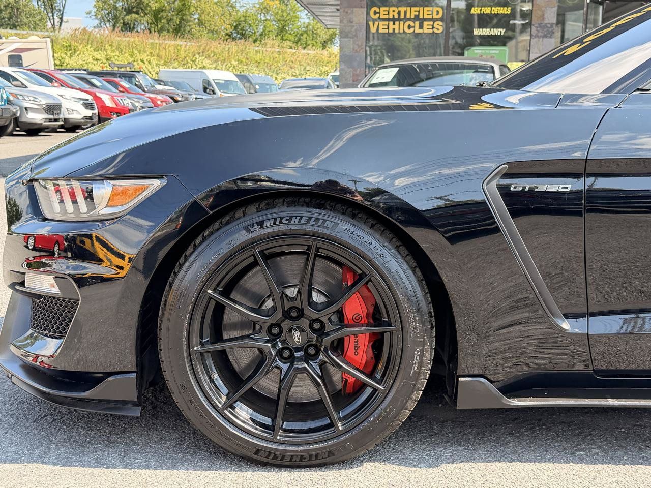 Used 2019 Ford Mustang Shelby GT350 w/ Technology Package RWD image 10