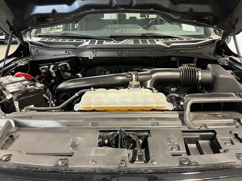 Used 2025 Ford F150 XLT w/ Equipment Group 301A Standard AWD/4WD image 9