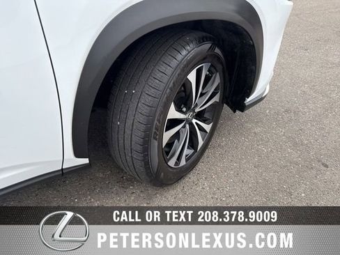 Used 2019 Lexus NX 300 F Sport w/ Cold Area Package image 11