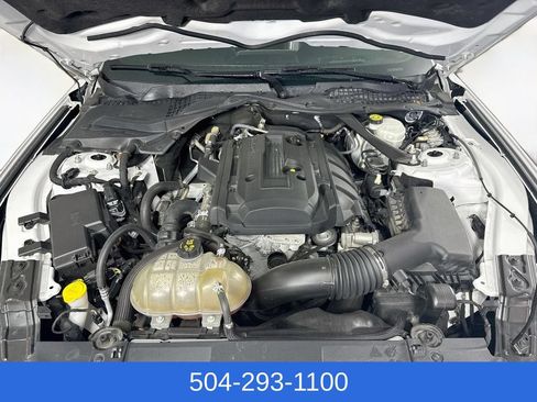 Used 2019 Ford Mustang Premium w/ Equipment Group 201A RWD image 31