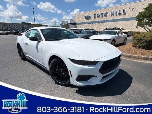 New 2026 Ford Mustang Coupe w/ Mustang Nite Pony Package RWD image 1