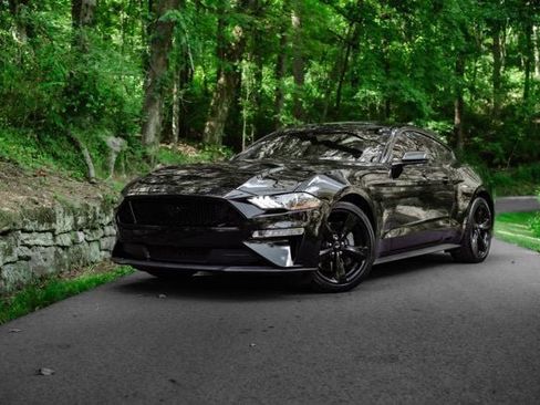 Used 2023 Ford Mustang GT Premium w/ Mustang Nite Pony Package RWD image 13