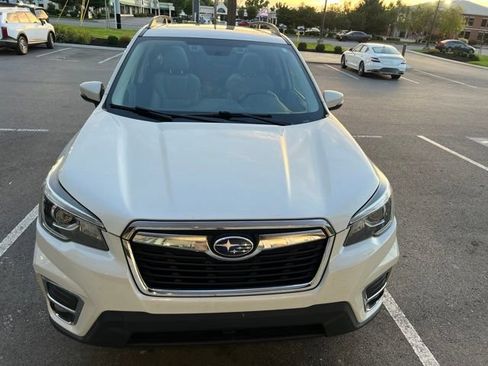 Used 2019 Subaru Forester Limited AWD/4WD image 2