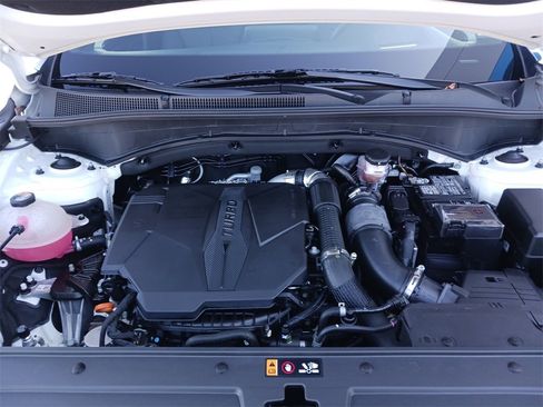 Used 2023 Hyundai Santa Fe Calligraphy image 14